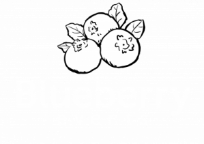 Blueberry Events